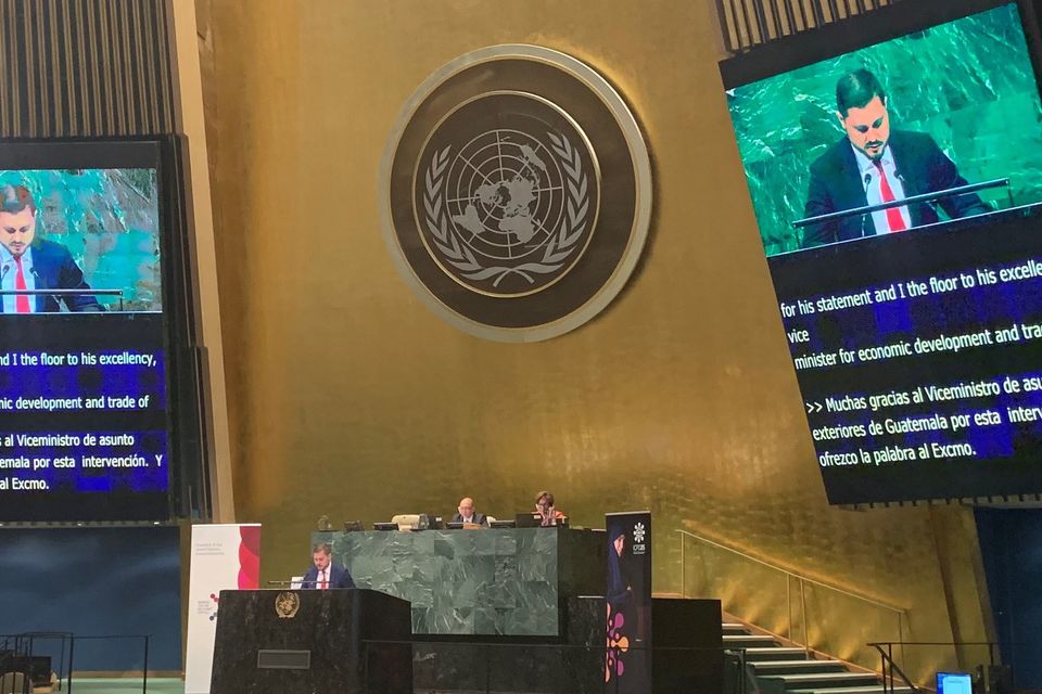 Statement by the delegation of Ukraine at the UNGA High-level Plenary Meeting to Mark the 25th Anniversary of the International Conference on Population and Development