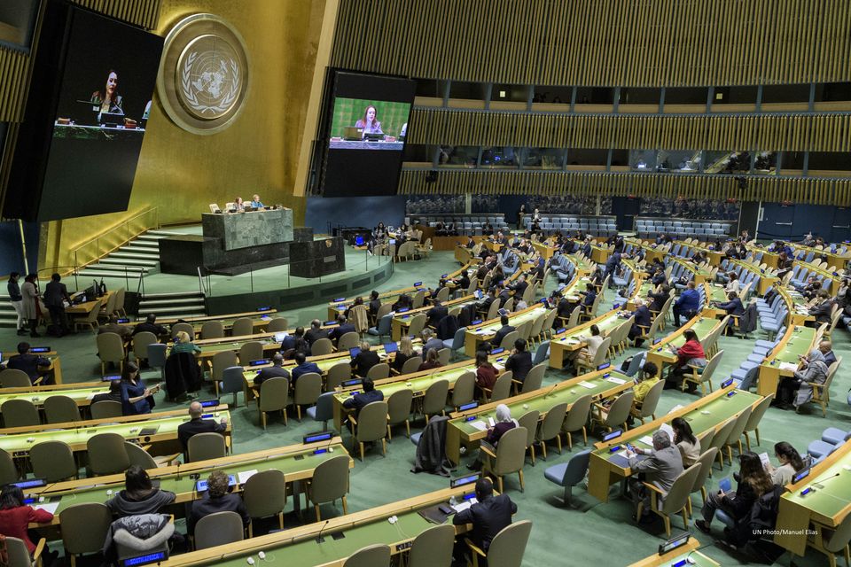 Спільний виступ України та Грузії на засіданні Комітету по Статуту ООН щодо пункту порядку денного: «Мирне вирішення спорів»